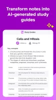 Quizlet