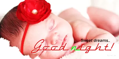 Good Night