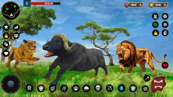 Lion Simulator Animal Games 3d