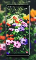Spring Wallpaper