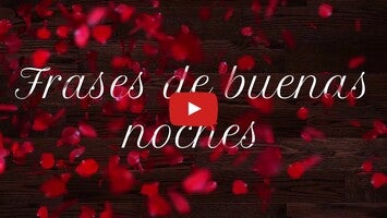 Rosas con frases de amor para dedicar