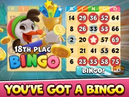 Bingo Drive