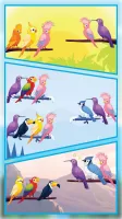 Bird Sort - Color Birds Game
