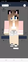 Skins for Minecraft