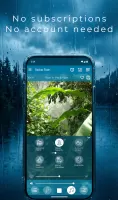 Relax Rain: sleep sounds