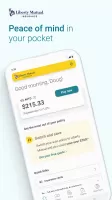 Liberty Mutual Mobile