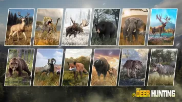 Deer Hunting