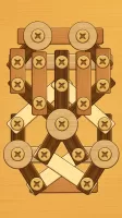 Screw Puzzle