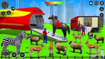 Animals Transport Truck Games