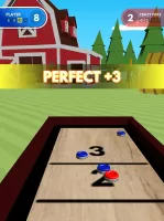 Shuffleboard Challenge
