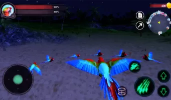 The Parrot