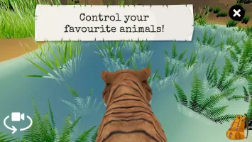 Wild Animals VR Kid Game