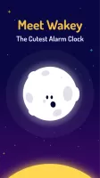 Wakey Alarm Clock