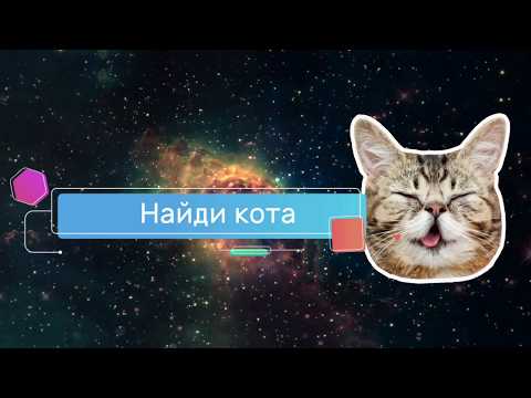 Найди кота