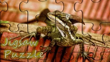 Classic jigsaw puzzles