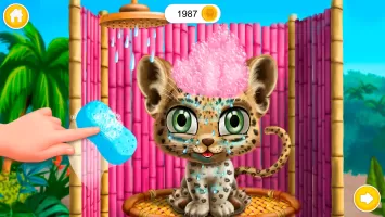 Baby Jungle Animal Hair Salon