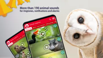 Animals Ringtones