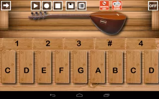 Baglama Pro
