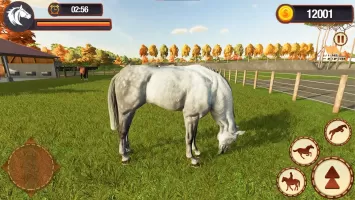 My Horse Herd Care Simulator