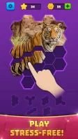Hex Block Jigsaw Puzzle