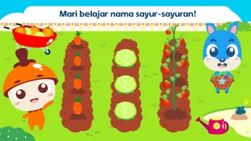 Marbel Belajar Sayur