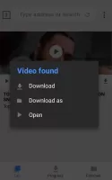 Video Downloader