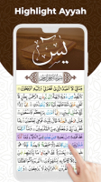Surah Yasin | Surah Yaseen