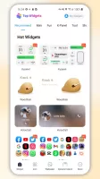 Top Widgets