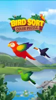 Bird Sort - Color Puzzle