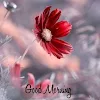 Anshumal Sharma