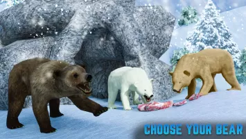 Polar Bear Family Survival