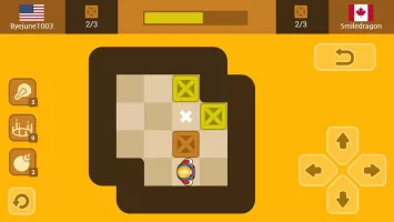 Push Maze Puzzle