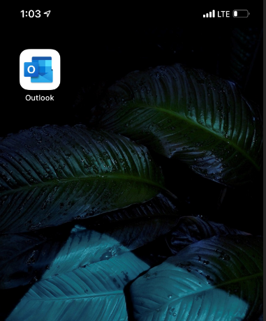 Microsoft Outlook