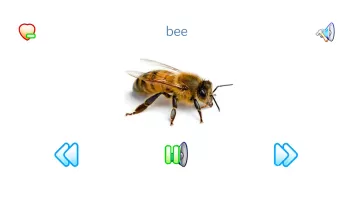 Sounds of Fauna + ringtones