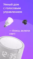 Дом с Алисой