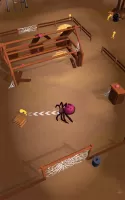 The Spider Nest