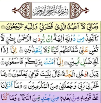 Surah Yasin | Surah Yaseen