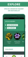 Seek by iNaturalist