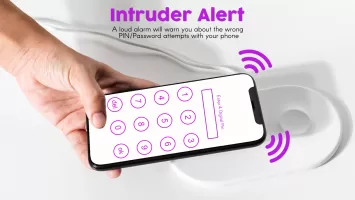 Phone Anti-Theft Alarm