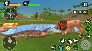 Lion Games Animal Simulator 3D
