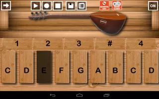Baglama Pro