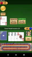 Cribbage Pro