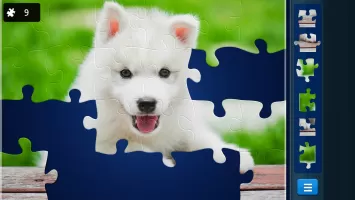 Jigsaw Puzzles: Picture Puzzle