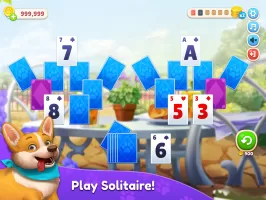 Piper's Pet Cafe