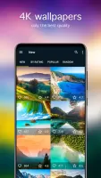 Nature Wallpapers 4K