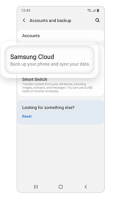 Samsung Cloud for Wear OS