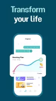 Brainbuddy