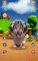 Talking Hedgehog