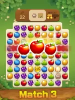 Fruits Magic Sweet Garden