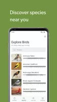 Merlin Bird ID by Cornell Lab